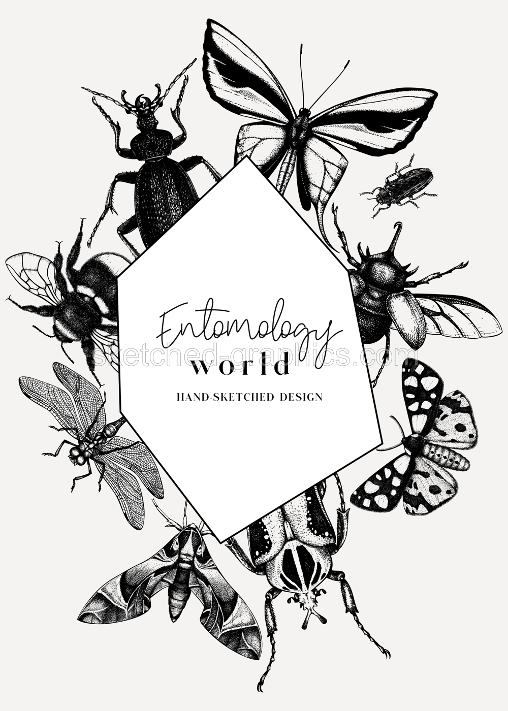 Hand-sketched insect wreath template. Hand drawn beetles, bugs, butterflies, dragonfly, cicada, moths, bee illustrations in vintage style. Entomological frame design with insects outlines Illustration